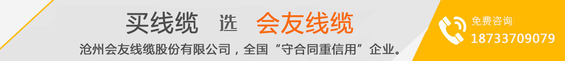 電線(xiàn)電纜生產(chǎn)廠(chǎng)家價(jià)格